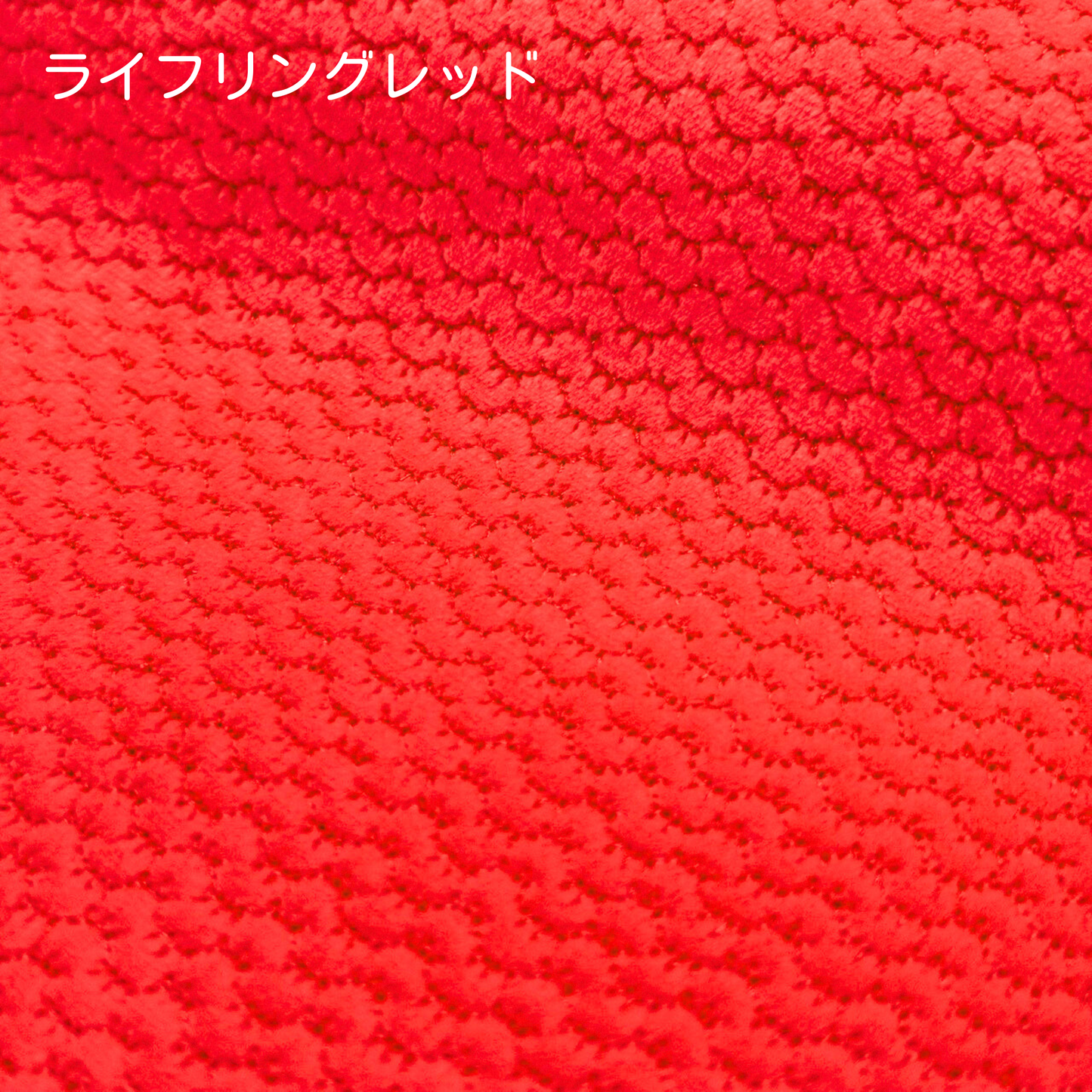 うろこふわもこ　フィッシュスキン