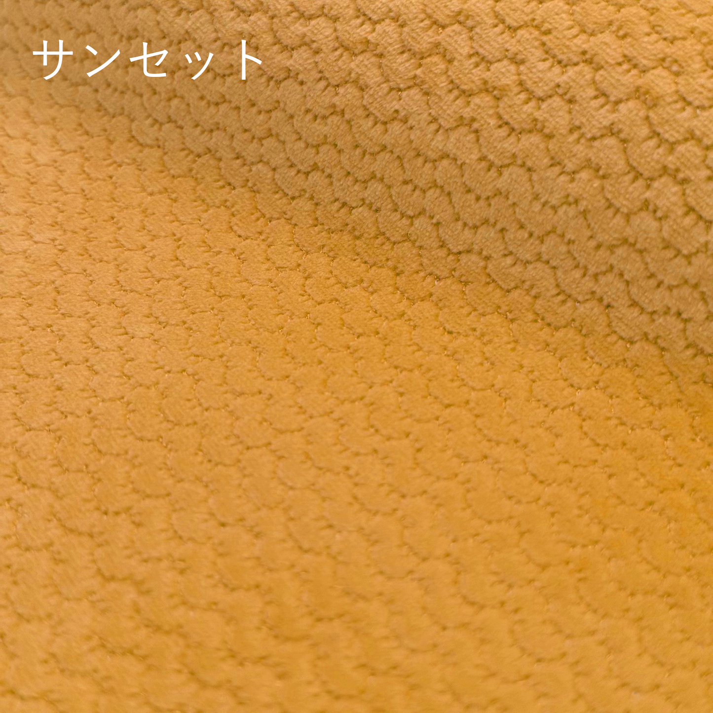 うろこふわもこ　フィッシュスキン