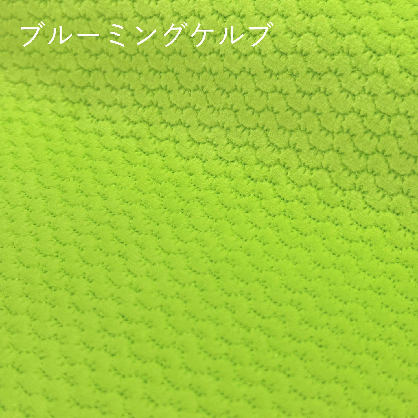 うろこふわもこ　フィッシュスキン